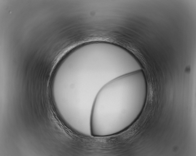X0000116280628200911301041