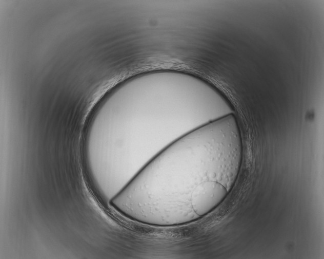 X0000116280630200911301042