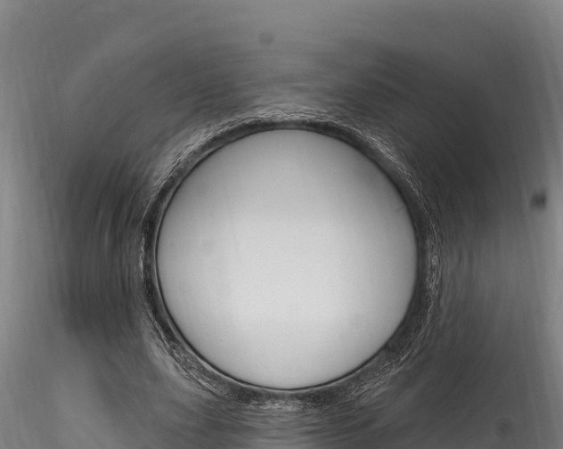X0000116280631200911301042