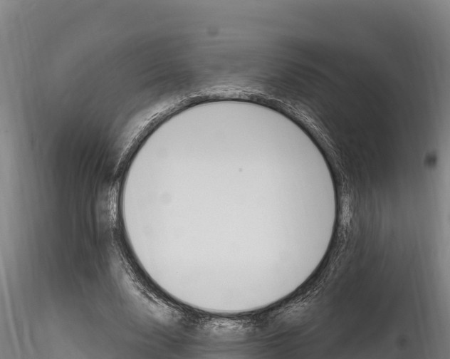 X0000116280632200911301042