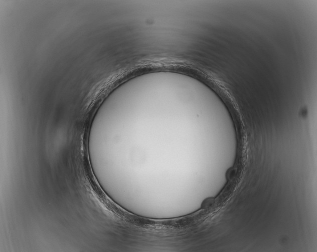 X0000116280633200911301042