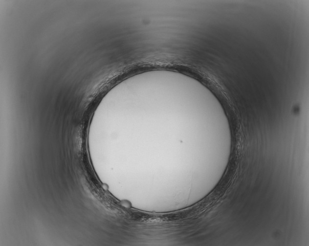 X0000116280635200911301042