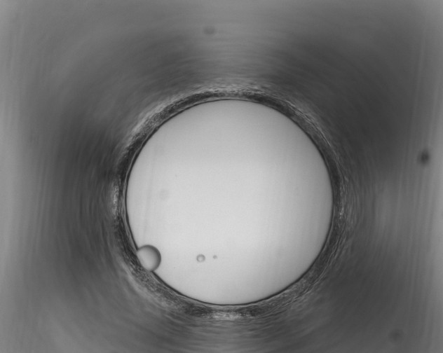 X0000116280636200911301042