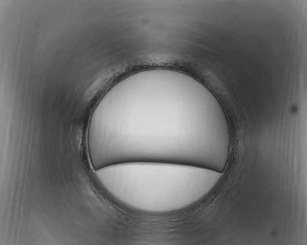 X0000116280640200911301042