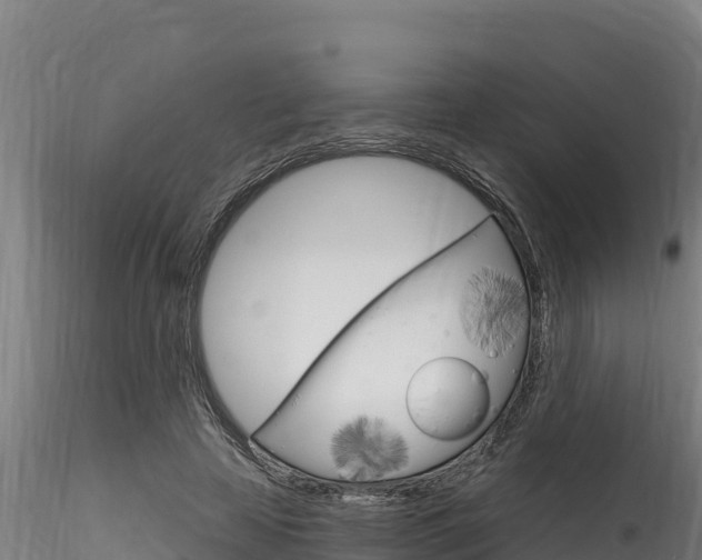 X0000116280641200911301042