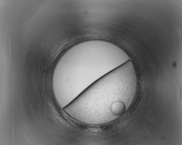 X0000116280642200911301042