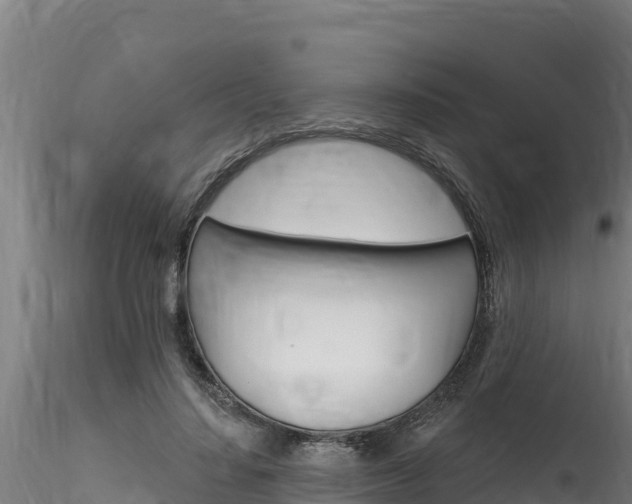 X0000116280644200911301042