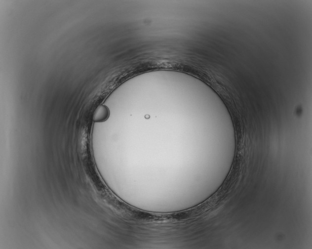 X0000116280646200911301042