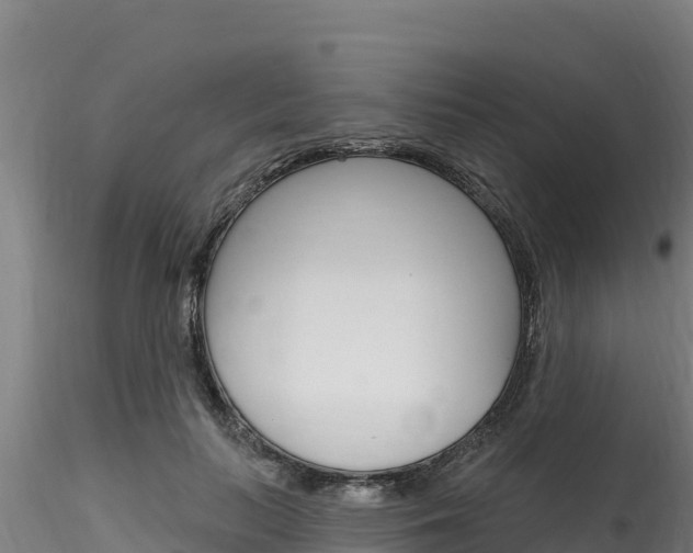 X0000116280647200911301042