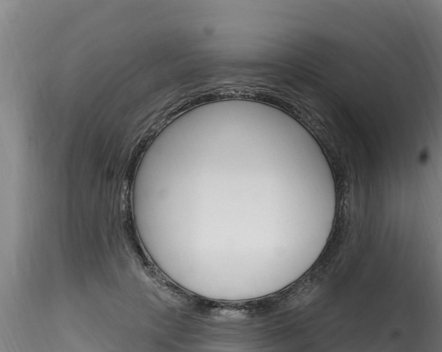 X0000116280649200911301042