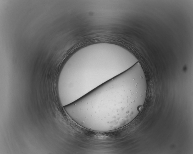 X0000116280650200911301042