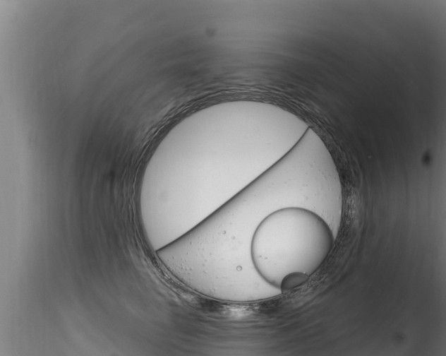 X0000116280662200911301042