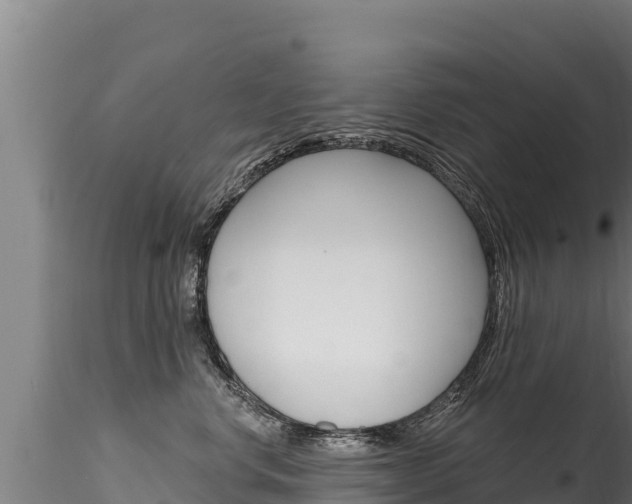 X0000116280668200911301042