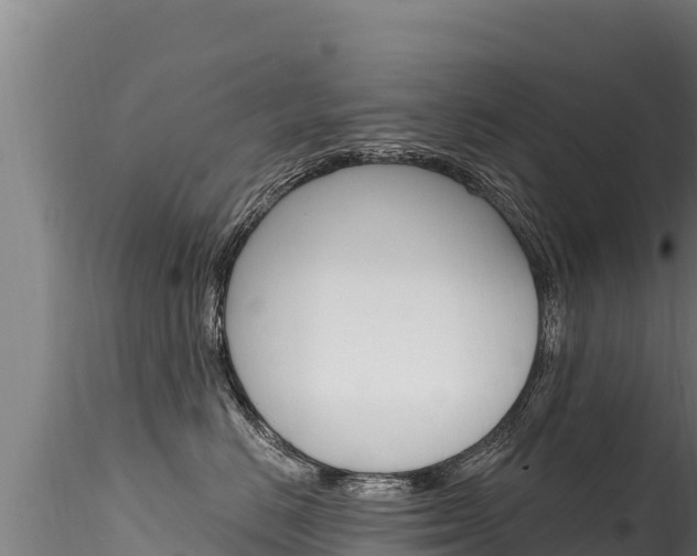 X0000116280670200911301042