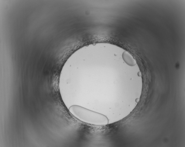 X0000116280672200911301042