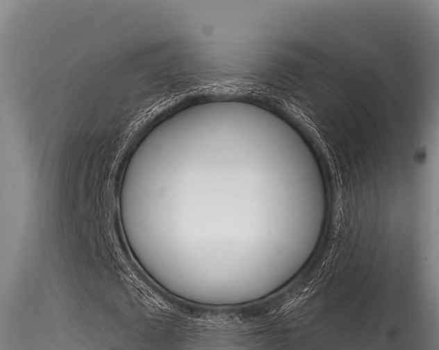 X0000116280673200911301041
