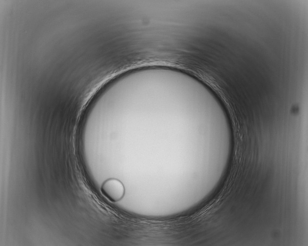 X0000116280676200911301041