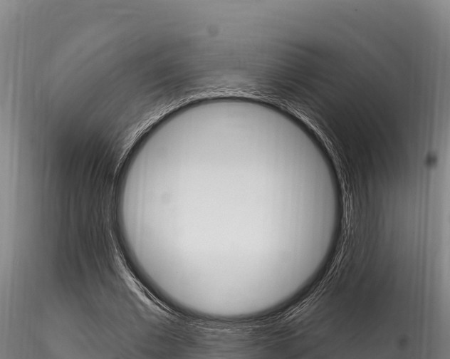 X0000116280677200911301041