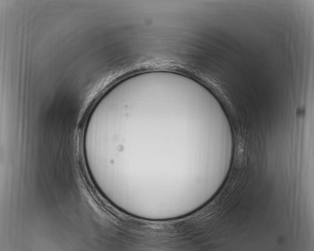 X0000116280678200911301041