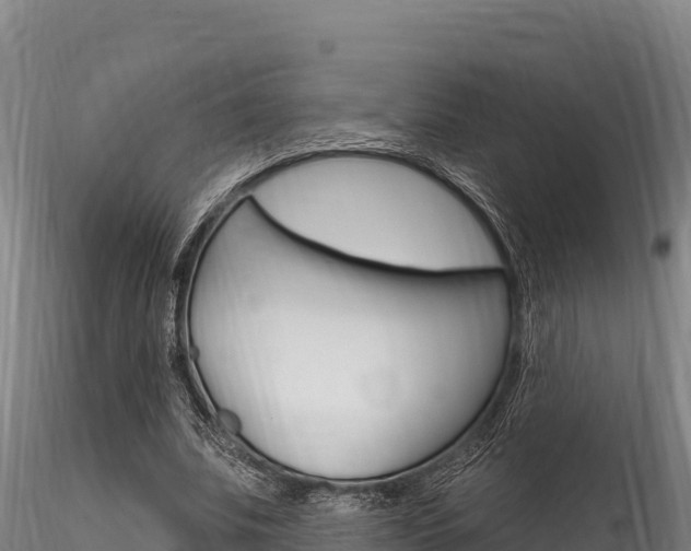 X0000116280679200911301041