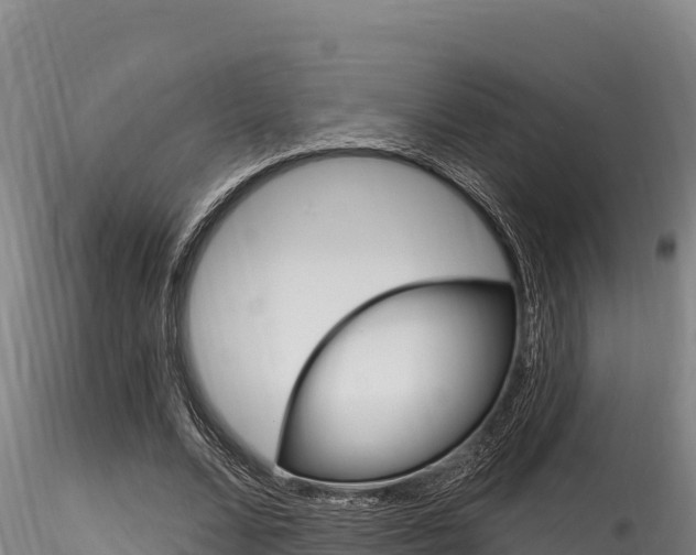 X0000116280680200911301041