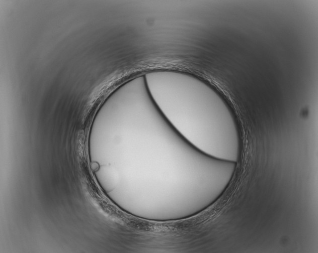 X0000116280682200911301041