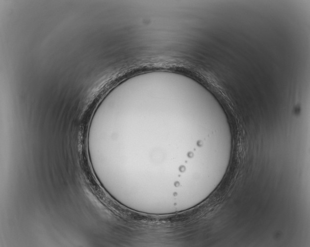 X0000116280683200911301041