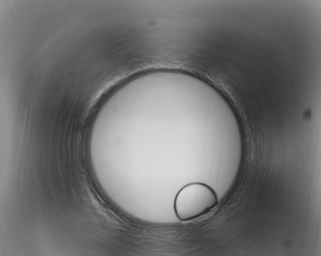 X0000116280684200911301041