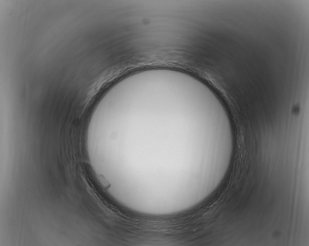 X0000116280685200911301041