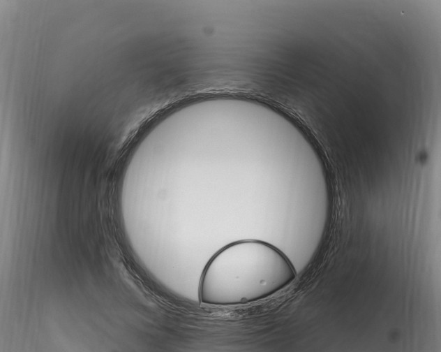 X0000116280688200911301041
