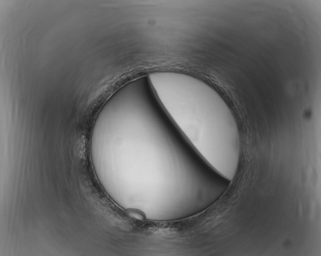 X0000116280689200911301041