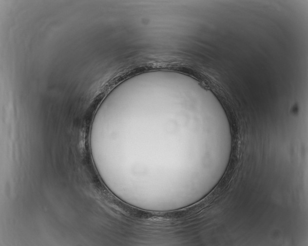 X0000116280691200911301041