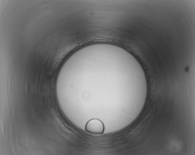 X0000116280692200911301041