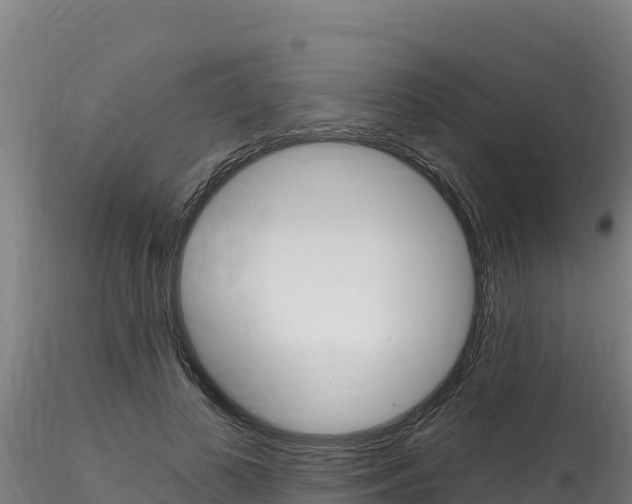 X0000116280693200911301041