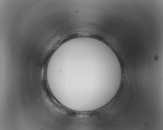 X0000116280694200911301041
