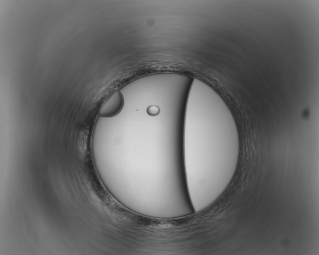 X0000116280695200911301041