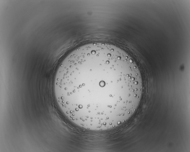 X0000116280696200911301041