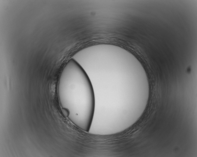X0000116280697200911301041