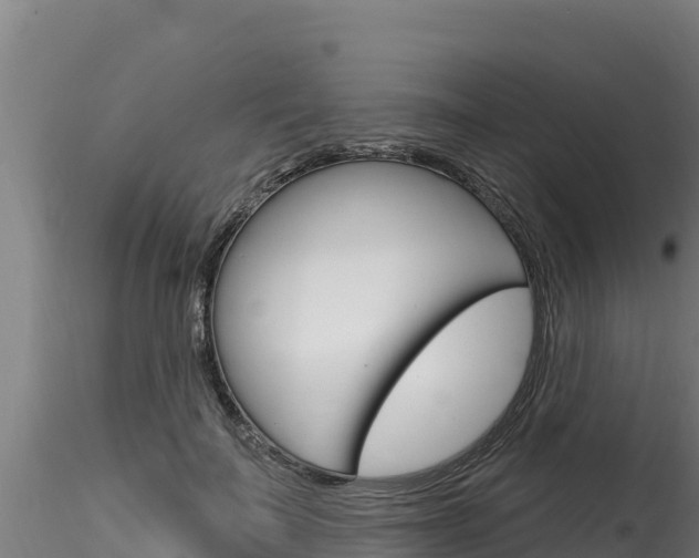 X0000116280699200911301041