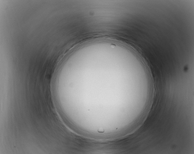 X0000116280701200911301041