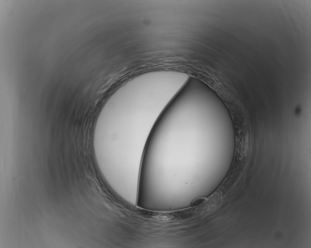 X0000116280704200911301041