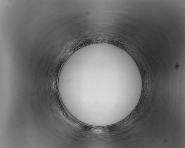 X0000116280706200911301041