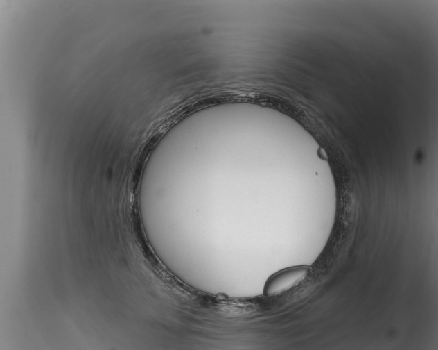 X0000116280707200911301041