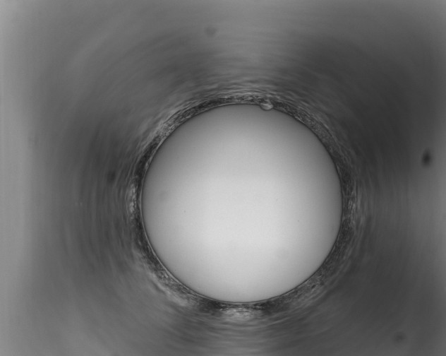 X0000116280708200911301041