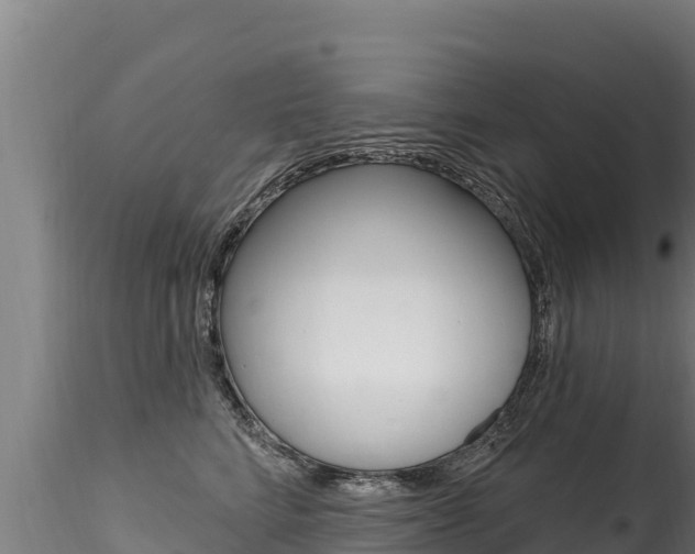 X0000116280712200911301041