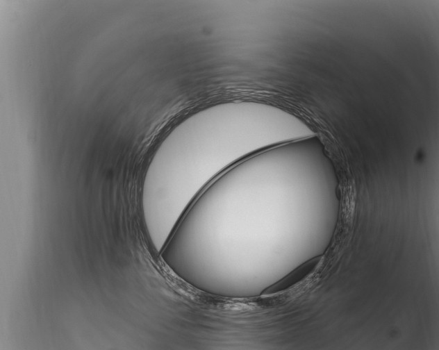 X0000116280716200911301041