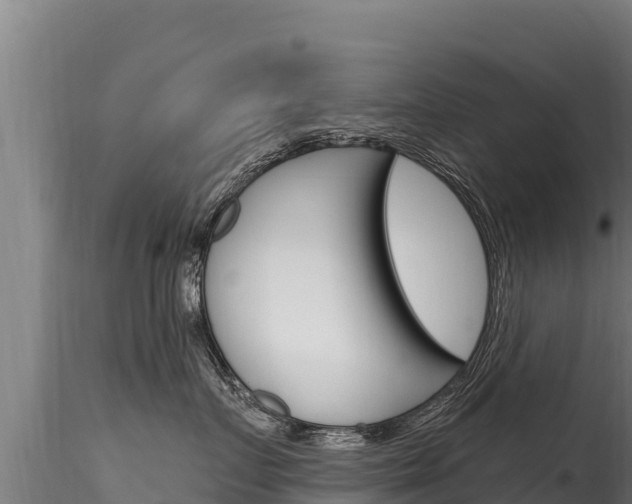 X0000116280719200911301041