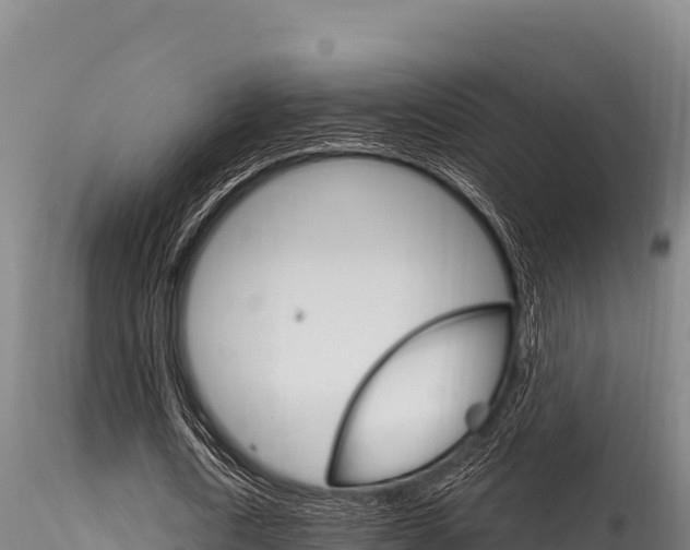 X0000116280722200911301040