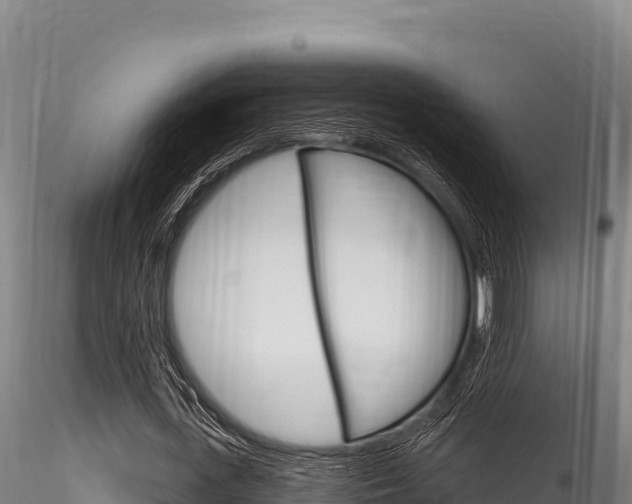 X0000116280723200911301040