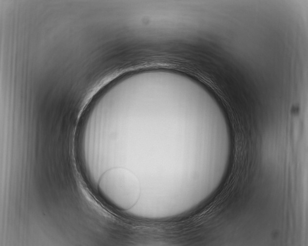 X0000116280726200911301040